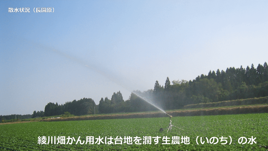 TOP画像